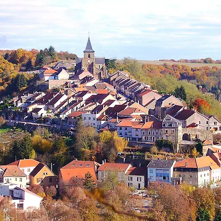 Des Fleurs Oda ve Kahvaltı Hombourg-Haut